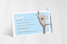Lieve koalabeer Lieve koalabeer
